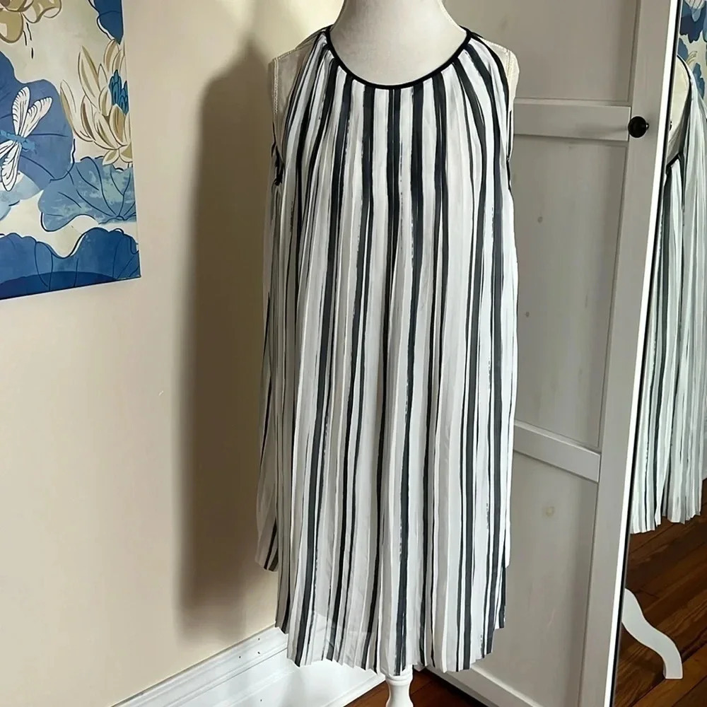 Max Studio Blue and White Striped Trapeze Style Dress